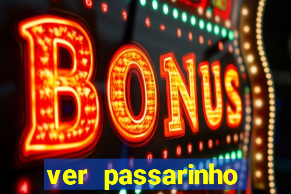 ver passarinho morto significado